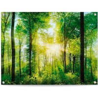 Reinders Poster "Sommerwald" von Reinders!