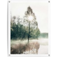 Reinders Poster "Sonne durch die Bäume" von Reinders!