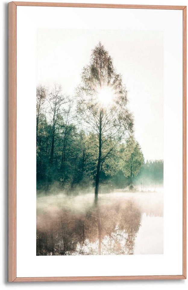 Reinders! Poster Sonne durch die Bäume von Reinders!