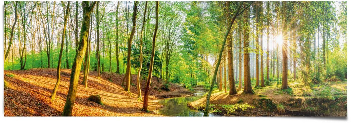 Reinders! Poster Sonniger Wald Reinders! Poster Sonniger Wald von Reinders!