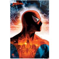 Reinders Poster "Spiderman - protector of the city" von Reinders!