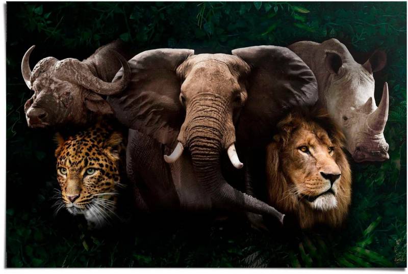 Reinders! Poster The big five von Reinders!