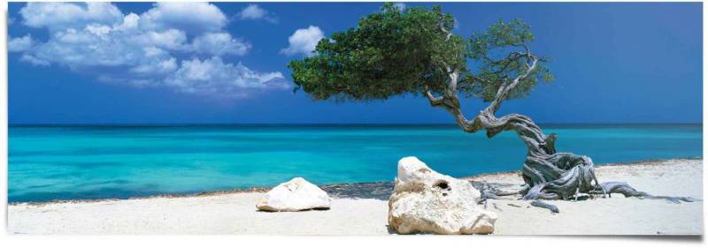 Reinders! Poster Tom Mackie divi divi Baum, (1 St) von Reinders!