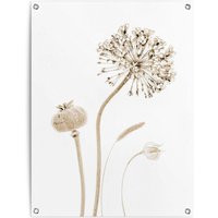 Reinders Poster "Trockenblumen", Outdoor für Garten oder Balkon von Reinders!