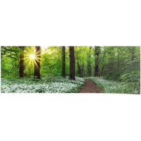 Reinders Poster "Waldlichtung Frühling", (1 St.) von Reinders!