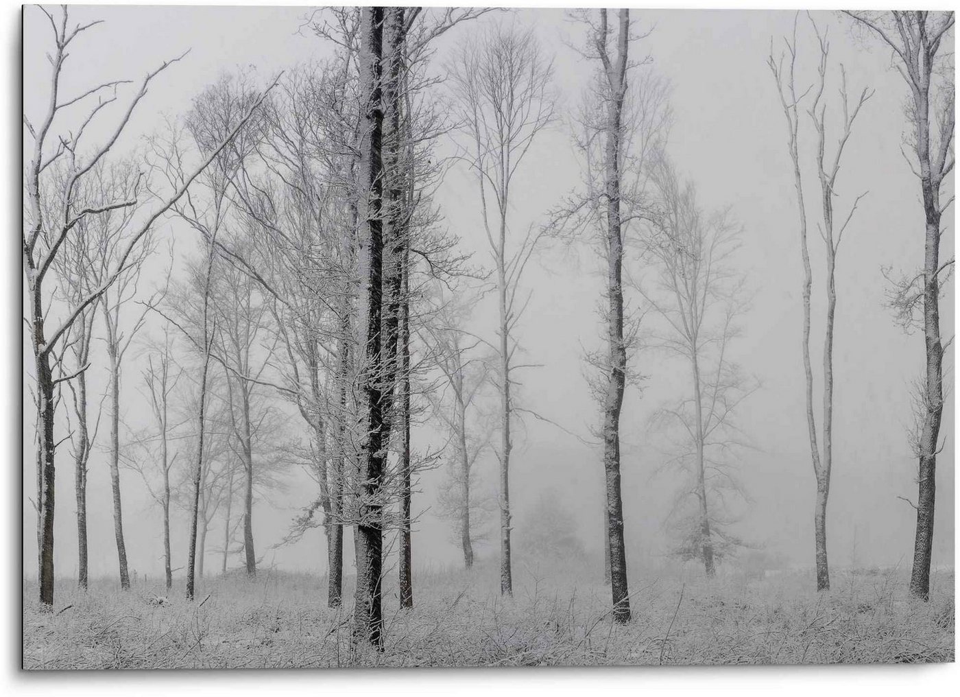 Reinders! Wandbild Aluminium Wandbild Still Natur - Schwarz-Weiss - Wald - Bäume, Stillleben (1 St) von Reinders!