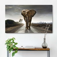 Reinders Wandbild "Elefant König" Reinders Wandbild "Elefant König" von Reinders!