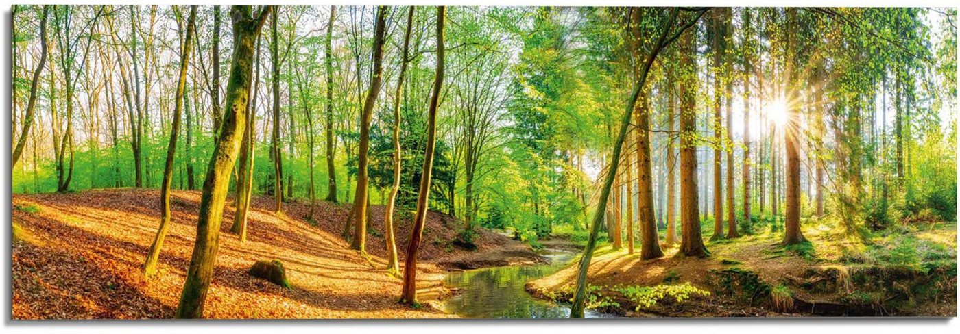 Reinders! Wandbild Sonniger Wald von Reinders!