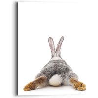 Reinders Wandbild "Wandbild Kaninchen Rabbit - Hase - Schwanz - Relax", Hasen, (1 St.) von Reinders!