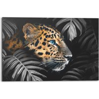 Reinders Wandbild "Wandbild Leopard Jungle - Pflanze - Tiermotiv", Leopard, (1 St.) von Reinders!