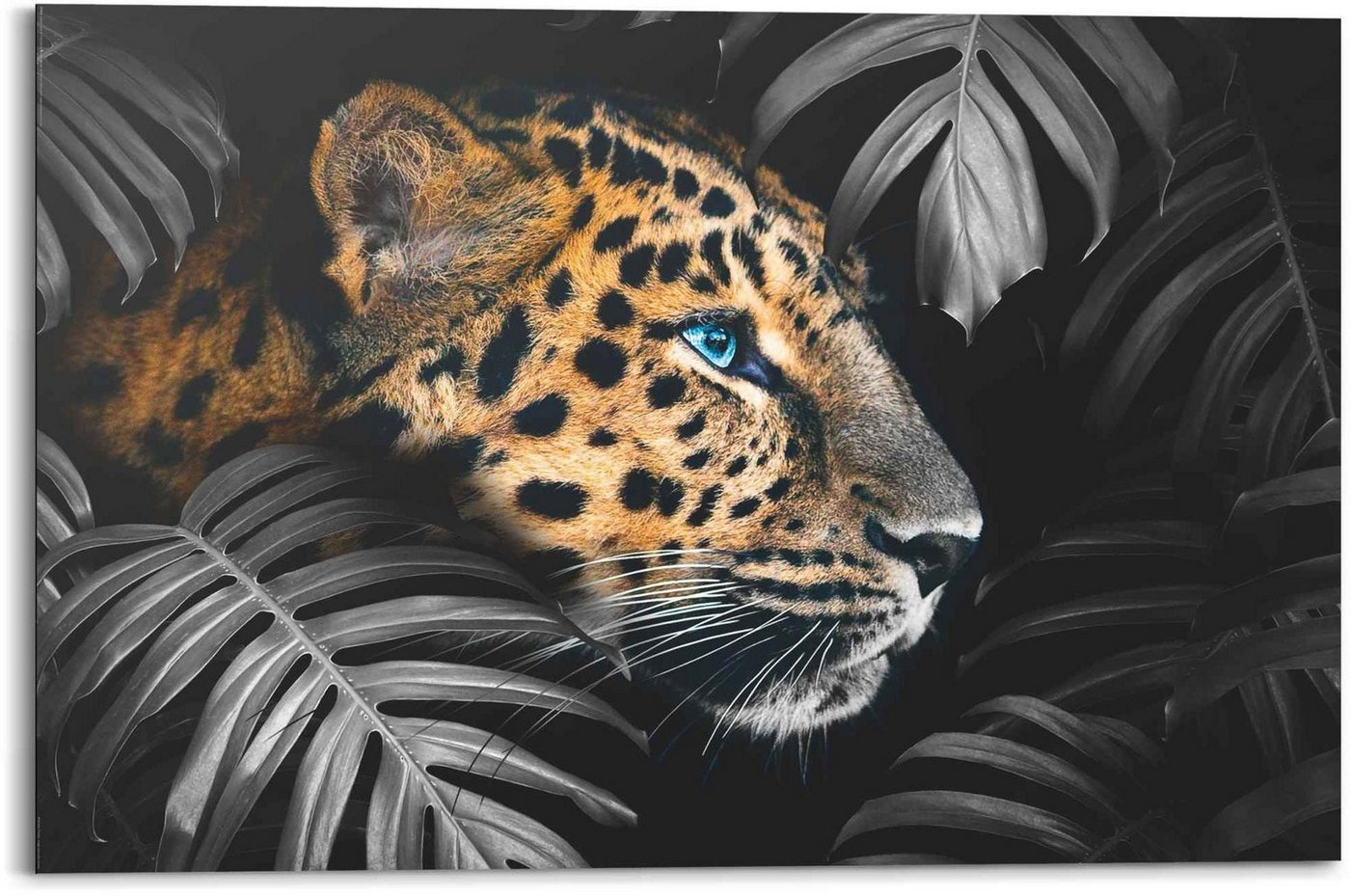 Reinders! Wandbild Wandbild Leopard Jungle - Pflanze - Tiermotiv, Leopard (1 St) von Reinders!
