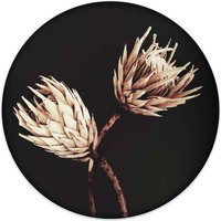 Reinders Wandbild "Wandbild Trockenblumen Exotisch - Vintage - Protea", Blumen, (1 St.) von Reinders!