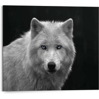 Reinders Wandbild "Weißer Wolf" von Reinders!