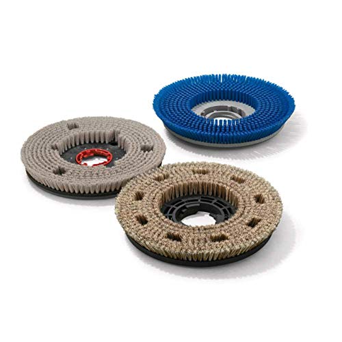 Schrubbbürste für IPC Gansow Professional Line CT 40 B 55 Bürste hart Tellerbürste Scheuerbürste von Reinica