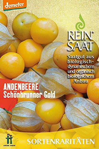 Reinsaat CV10 Andenbeere Schönbrunner Gold (Bio-Beerensamen) von Reinsaat