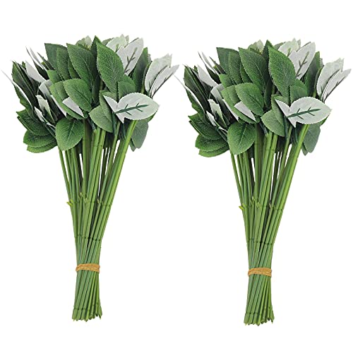Reinscer 100 Stücke Künstliche Gefälschte Rose Vorbauten für DIY Handgemachten Blumen Strauß Blatt Ader von Reinscer