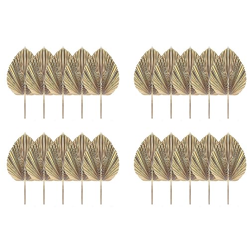 Reinscer 20 Stück Natürliche Getrocknete Palmblätter Tropische Getrocknete Palmfächer Boho Trockene Blätter für Zuhause Küche Hochzeit von Reinscer