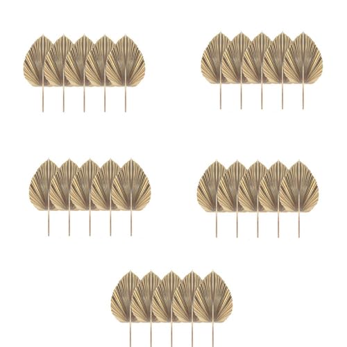 Reinscer 25 Stück Natürliche Getrocknete Palmblätter Tropische Getrocknete Palmfächer Boho Trockene Blätter für Zuhause Küche Hochzeit von Reinscer