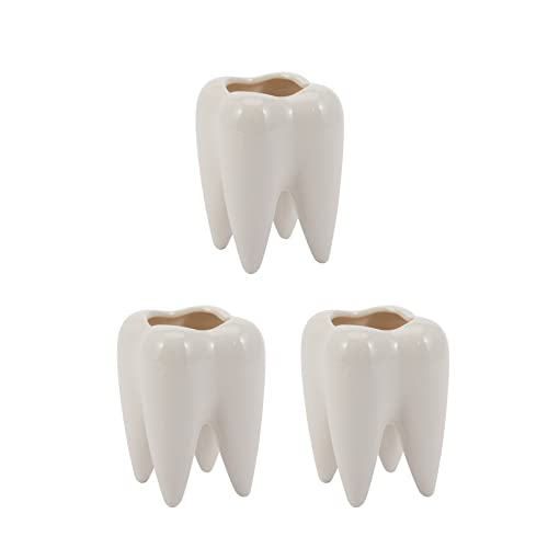 Reinscer 3X Zahnform Weisse Keramik Blumentopf Modernes Design Pflanzgefaess Zaehne Modell Mini Desktop Topf Kreative Geschenk (Ohne Pflanzen) von Reinscer