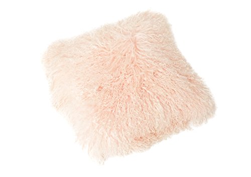 Reissner Lammfelle Tibet Lammfell Kissenbezug langflorig 30x30cm JAY04 Farbe hell beige Reissner Lammfelle Tibet Lammfell Kissenbezug langflorig 30x30cm JAY04 Farbe hell beige von Reissner Lammfelle