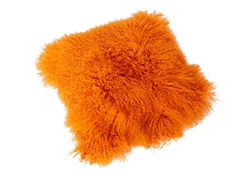 Reissner Lammfelle Tibet Lammfell Kissenbezug langflorig 30x30cm JAY12 Farbe orange von Reissner Lammfelle