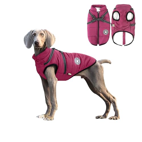 Reiteag Emmalove Wasserdichter Hundemantel Winter Extreme mit Hundegeschirr, Winter Warm Gefütterter Hundejacke, mit Reflexstreifen, Katzen und Hundeliebling Wasserdichter Fleece Wintermantel von Reiteag