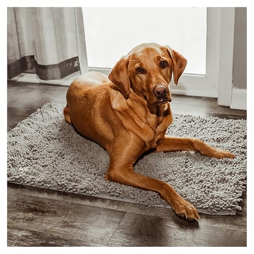 Reiteag Tierliebling clean mat,Premium cleany mat Hund 50 x 80 cm,Schmutzfangmatte hundematte,wasserdicht Teppich für Hund,Fußmatte Innen waschbar,für Eingang,Haustür & Flur von Reiteag