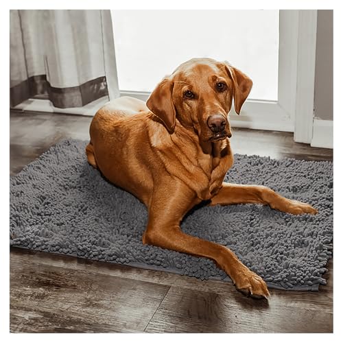 Reiteag tierliebling clean mat,Premium cleany mat Hund 50 x 80 cm,Schmutzfangmatte hundematte,wasserdicht Teppich für Hund,Fußmatte Innen waschbar,für Eingang,Haustür & Flur von Reiteag