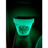 Glow in The Dark Terra Cotta Übertopf Mit Gold Monstera Design von RelaxWithRoya