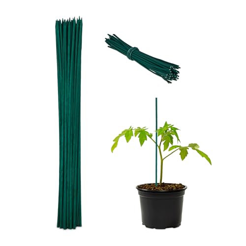 100 x Pflanzstäbe, HxD 30 x 0,5 cm, Rankhilfe für Jungpflanzen, mit Bindedraht, Bambusstäbe, Blumenstützen, dunkelgrün von Relaxdays