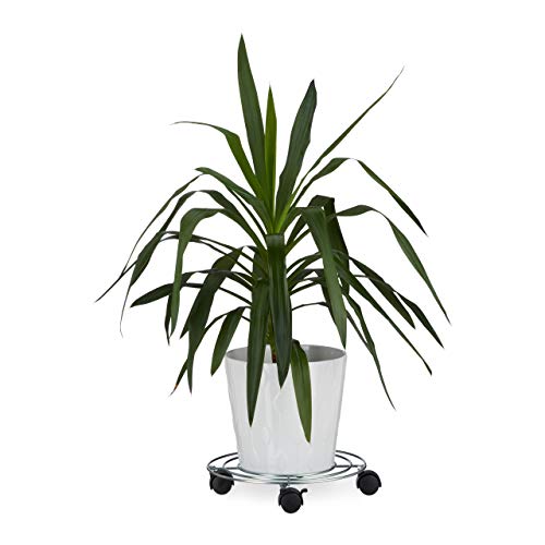8X Transportroller, Möbelroller, Transporthilfe, Transportbrett, bis 200 kg belastbar, H x B x T: ca. 11 x 58 x 30 cm von Relaxdays