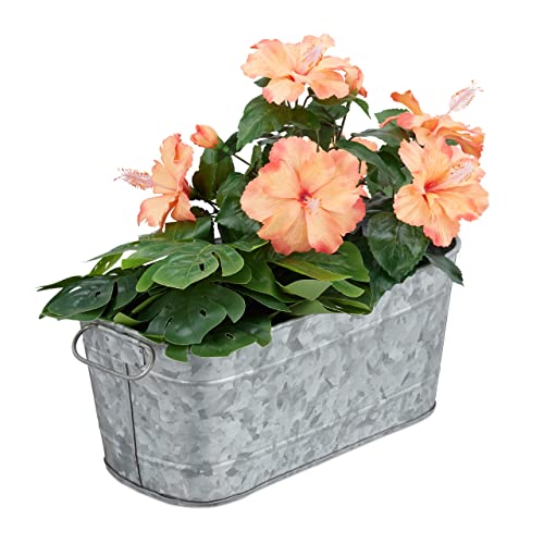 Relaxdays Blumenkasten, für Garten, Balkon & Fensterbank, zum Bepflanzen, Vintage-Optik, Metall, HBT 16x38x19 cm, Zink Relaxdays Blumenkasten, für Garten, Balkon & Fensterbank, zum Bepflanzen, Vintage-Optik, Metall, HBT 16x38x19 cm, Zink von Relaxdays
