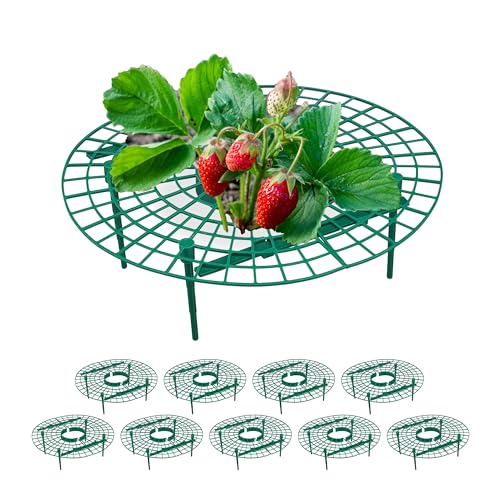 Relaxdays Erdbeerreifer, 10er Set, Schneckenschutz Erdbeeren, Kunststoff, Erdbeergitter gegen Fäulnis & Schimmel, grün von Relaxdays