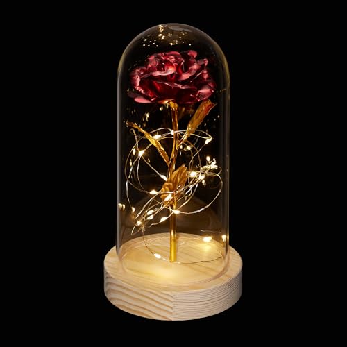 Relaxdays Ewige Rose im Glas, mit LED-Beleuchtung, Kunstrose als Mutter, Jahres-oder Valentinstaggeschenk, rot/Gold, 1 Stück von Relaxdays