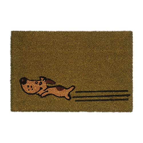 Relaxdays Fußmatte Kokos, 40x60 cm, Schmutzfangmatte Hunde-Motiv, Türvorleger innen & außen, Abtreter Haustür, grün von Relaxdays