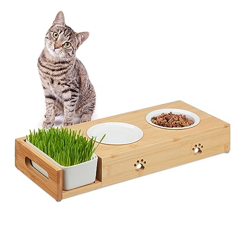 Relaxdays Katzen Futterstation mit Katzengras Schale, 2 Keramiknäpfe je 250 ml, spülmaschinenfest, Katzenbar, Natur/weiß, Bambus, Keramik von Relaxdays