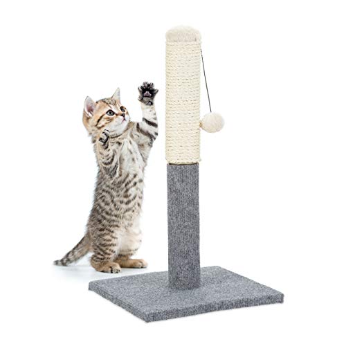 Relaxdays Kratzstamm, Kratzsäule für Katzen, freistehend, Kratzstange mit Sisalstamm & Spielball, Indoor, H: 54 cm, grau von Relaxdays