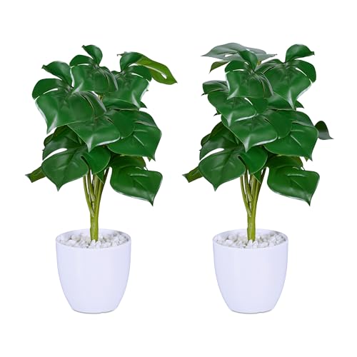 Relaxdays Kunstpflanze Monstera, 2er Set künstliche Pflanzen, im Topf, Plastikpflanzen, H x D: 33 x 20 cm, grün/weiß Relaxdays Kunstpflanze Monstera, 2er Set künstliche Pflanzen, im Topf, Plastikpflanzen, H x D: 33 x 20 cm, grün/weiß von Relaxdays