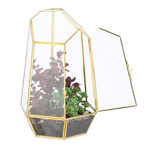Relaxdays Pflanzenterrarium, Glas & Kupfer, HBT: 26x18x15 cm, Glaskasten Kakteen & Moos, geometrisch, Fensterbank, gold von Relaxdays