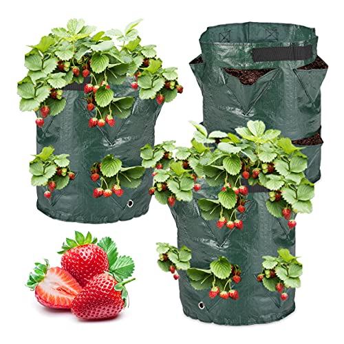 Relaxdays Pflanzsack 3er Set, Erdbeerpflanzgefäße, mit Bodenlöchern, 2 Henkel, Kunststoff, HxD: 44 x 33 cm, dunkelgrün von Relaxdays