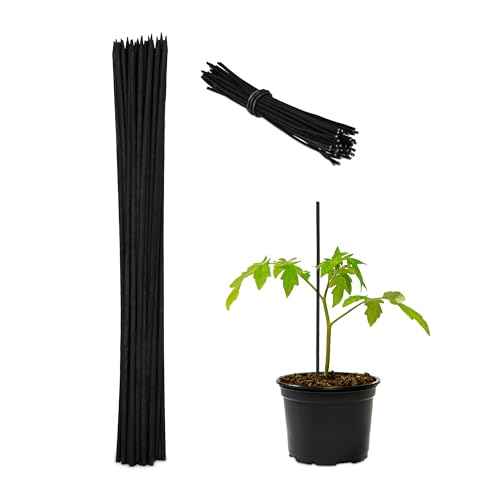 Relaxdays Pflanzstäbe, 100er Set, HxD 30 x 0,5 cm, Rankhilfe für Jungpflanzen, mit Bindedraht, Bambusstäbe, schwarz Relaxdays Pflanzstäbe, 100er Set, HxD 30 x 0,5 cm, Rankhilfe für Jungpflanzen, mit Bindedraht, Bambusstäbe, schwarz von Relaxdays