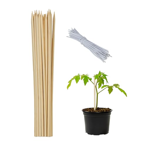Relaxdays Pflanzstäbe Bambus, 50er Set, 30 cm lang, Rankhilfe für Pflanzen, Ø 5mm, Bambusstäbe mit Bindedraht, Natur von Relaxdays