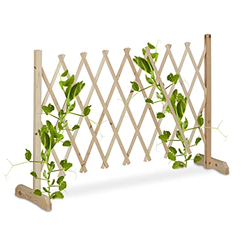Relaxdays Rankgitter Holz, ausziehbar bis 180 cm, Rankhilfe Kletterpflanzen, Scherengitter freistehend, Garten, Natur Relaxdays Rankgitter Holz, ausziehbar bis 180 cm, Rankhilfe Kletterpflanzen, Scherengitter freistehend, Garten, Natur von Relaxdays