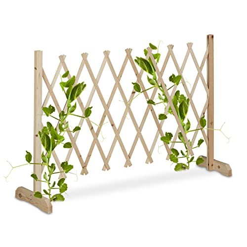 Relaxdays Rankgitter Holz, ausziehbar bis 180 cm, Rankhilfe Kletterpflanzen, Scherengitter freistehend, Garten, Natur von Relaxdays
