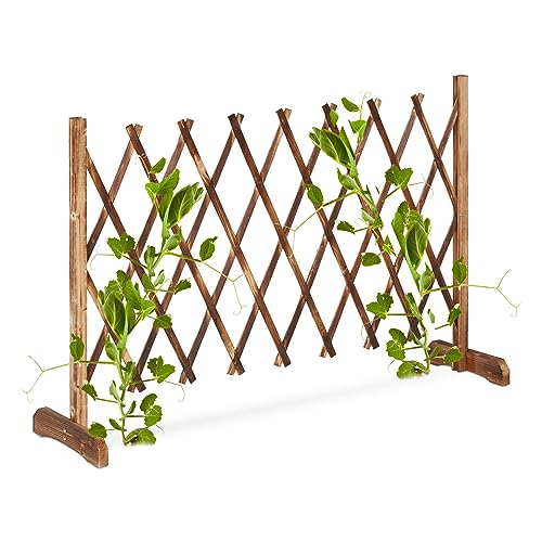 Relaxdays Rankgitter Holz, ausziehbar bis 185 cm, Rankhilfe Kletterpflanzen, Scherengitter freistehend, Garten, Natur Relaxdays Rankgitter Holz, ausziehbar bis 185 cm, Rankhilfe Kletterpflanzen, Scherengitter freistehend, Garten, Natur von Relaxdays