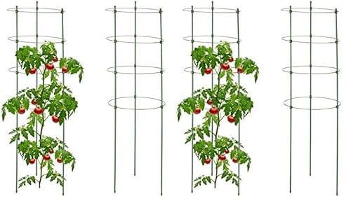 Relaxdays Rankhilfe, 2er Set, 4 Ringe, HxD: 91 x 28 cm, Blumen & Nutzpflanzen, Metall & Kunststoff, Pflanzenstütze, grün (Packung mit 2) von Relaxdays