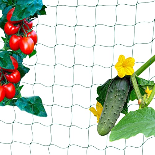 Relaxdays Ranknetz für Gewächshaus, 180 x 360 cm, Rankhilfe Gurken, Tomaten, Maschenweite 10 cm, Gewächshausnetz, grün von Relaxdays