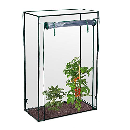 Relaxdays Tomatengewächshaus, Garten, Balkon, Foliengewächshaus Tomaten, HBT 150x100x50cm, Stahl, PVC-Folie, transparent von Relaxdays