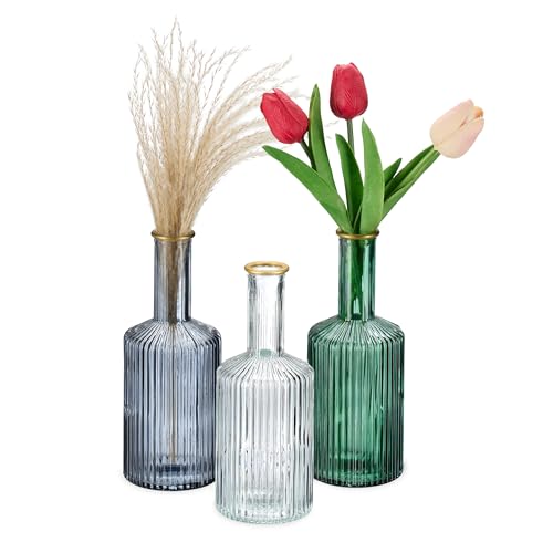 Relaxdays Vasen aus Glas, im 3er Set, Blumenvasen in Flaschenform, H x D: 20,5 x 8 cm, Dekovasen gerillt, Mehrfarbig von Relaxdays