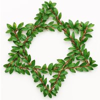 Davidstern Mini Greenery Kranz Wand Oder Türbehang Davidstern Mini Greenery Kranz Wand Oder Türbehang von RelaxingRecoveries